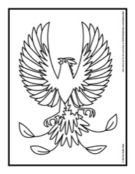 55